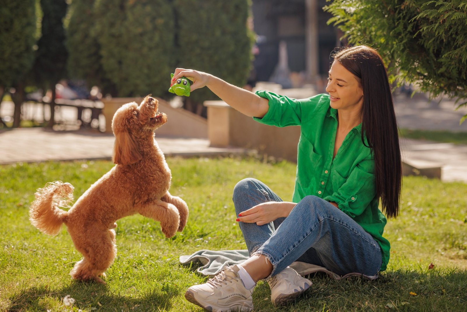 Čuvanje kućnih ljubimaca - sta dobijate kupovinom plana